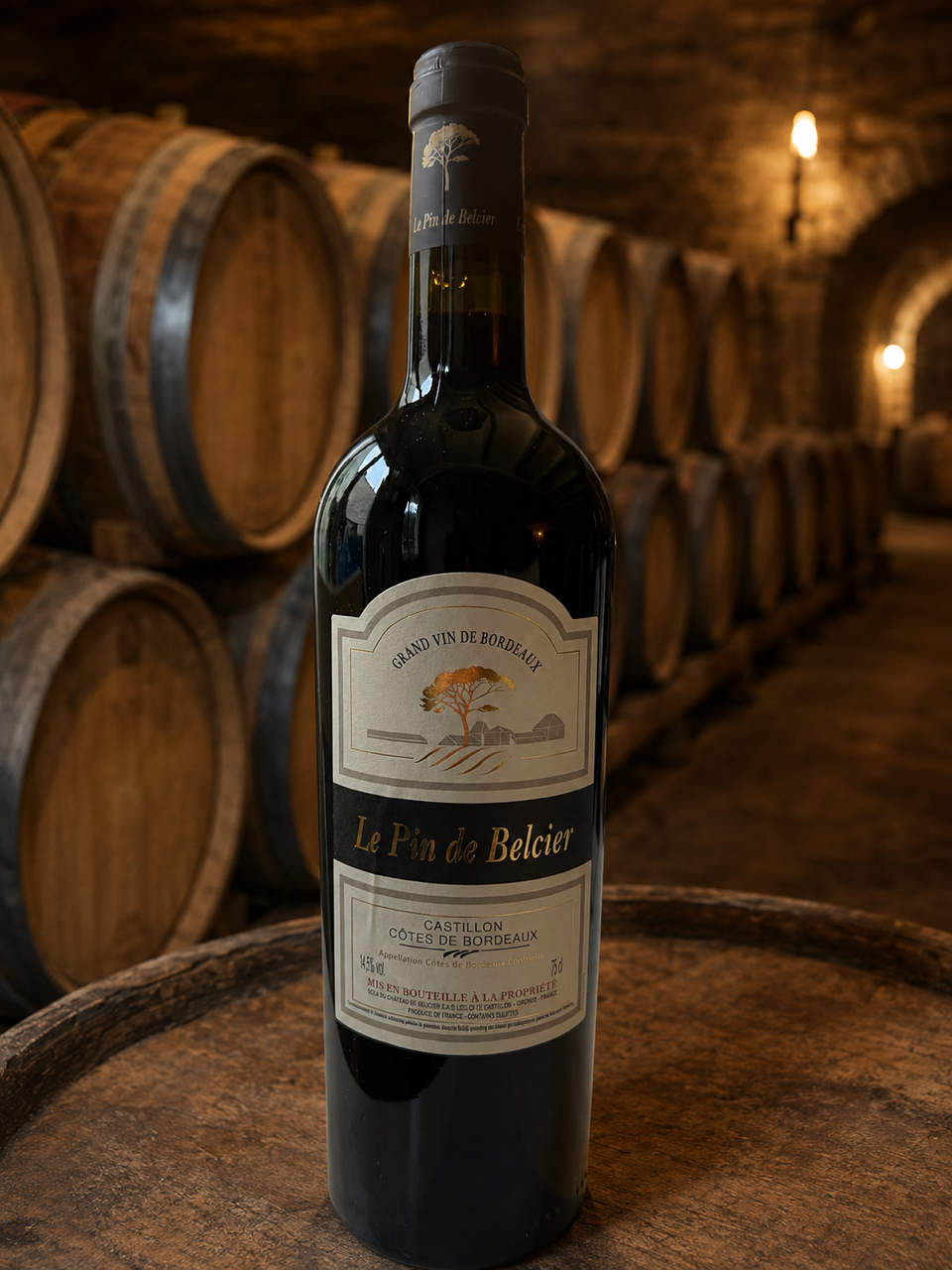 LE PIN DE BELCIER CASTILLON - COTES DE BORDEAUX 2018