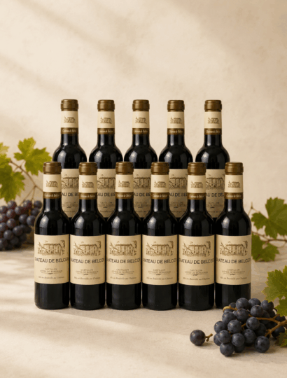 CHATEAU DE BELCIER  CASTILLON - COTES DE BORDEAUX 2015